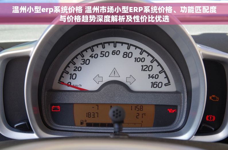 温州小型erp系统价格 温州市场小型ERP系统价格、功能匹配度与价格趋势深度解析及性价比优选