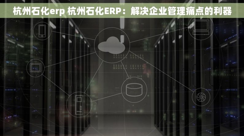 杭州石化erp 杭州石化ERP：解决企业管理痛点的利器