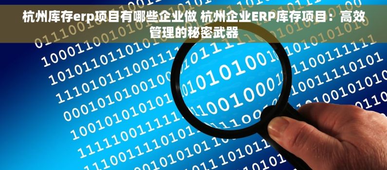 杭州库存erp项目有哪些企业做 杭州企业ERP库存项目：高效管理的秘密武器
