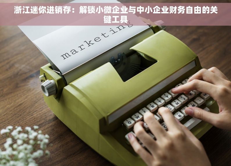 浙江迷你进销存：解锁小微企业与中小企业财务自由的关键工具