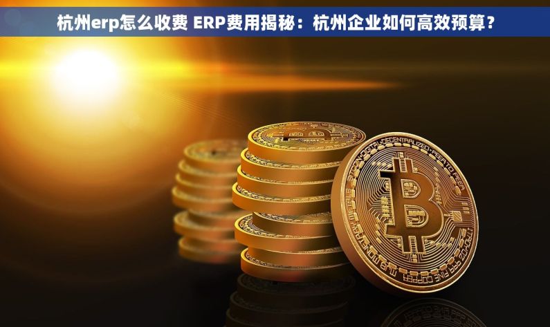 杭州erp怎么收费 ERP费用揭秘：杭州企业如何高效预算？