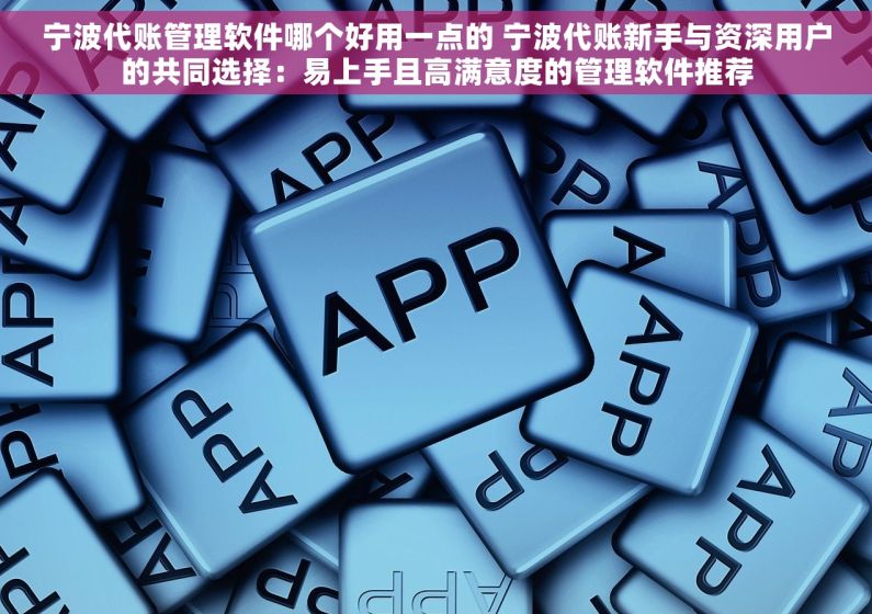 宁波代账管理软件哪个好用一点的 宁波代账新手与资深用户的共同选择：易上手且高满意度的管理软件推荐
