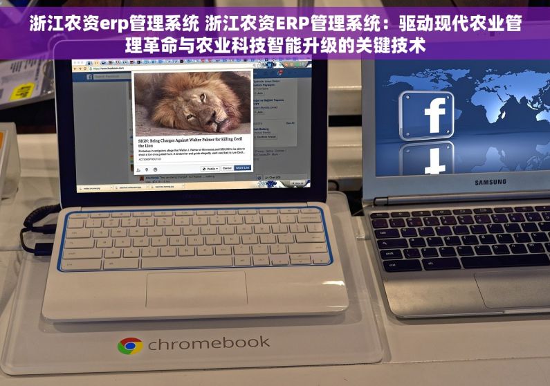 浙江农资erp管理系统 浙江农资ERP管理系统：驱动现代农业管理革命与农业科技智能升级的关键技术