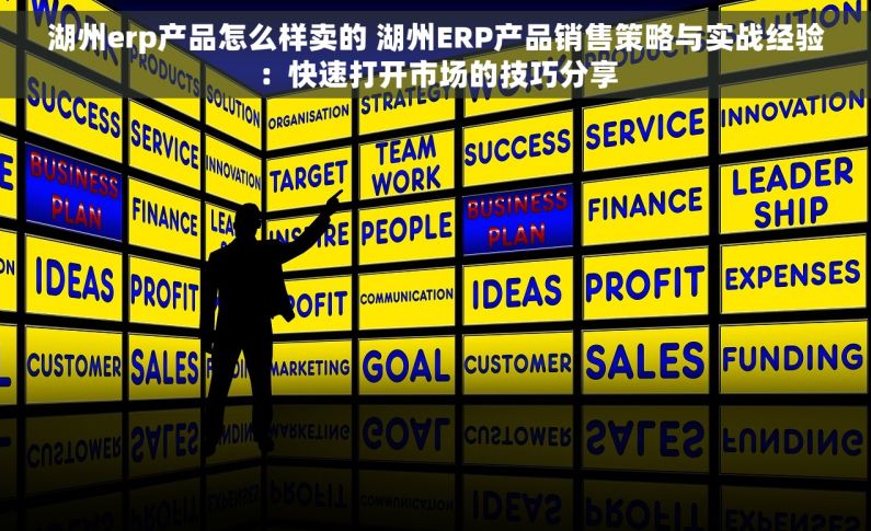 湖州erp产品怎么样卖的 湖州ERP产品销售策略与实战经验：快速打开市场的技巧分享