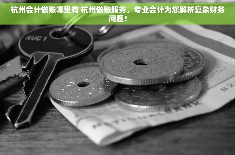 杭州会计做账哪里有 杭州做账服务，专业会计为您解析复杂财务问题！