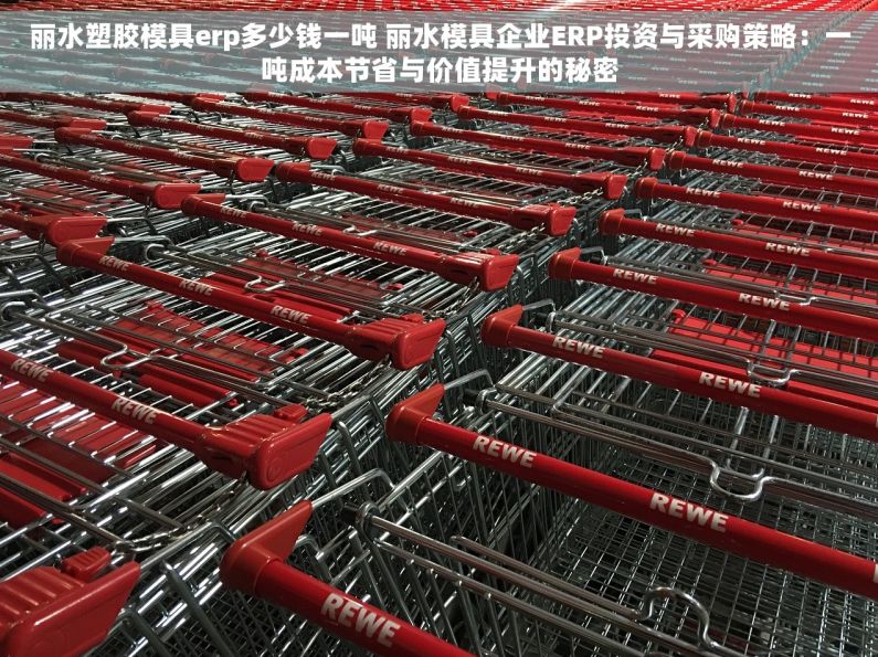 丽水塑胶模具erp多少钱一吨 丽水模具企业ERP投资与采购策略：一吨成本节省与价值提升的秘密