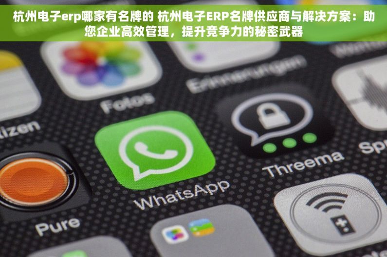 杭州电子erp哪家有名牌的 杭州电子ERP名牌供应商与解决方案：助您企业高效管理，提升竞争力的秘密武器