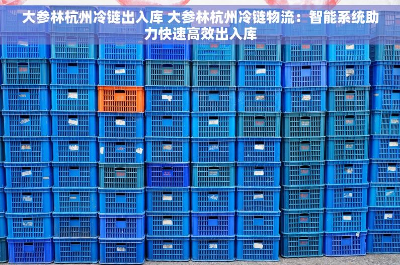 大参林杭州冷链出入库 大参林杭州冷链物流：智能系统助力快速高效出入库