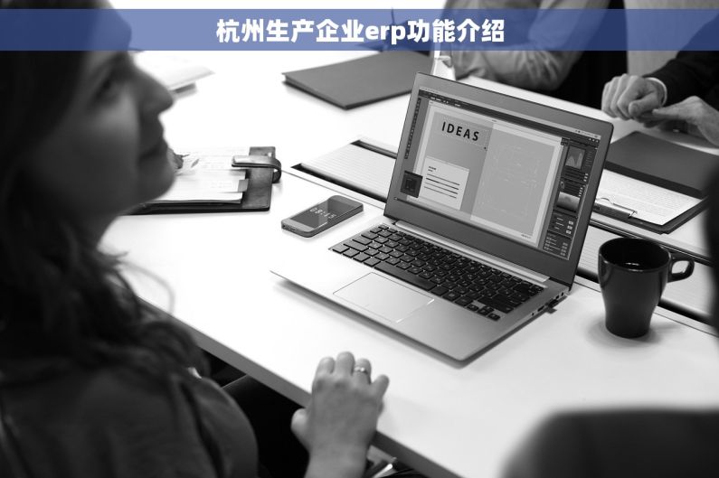 杭州生产企业erp功能介绍