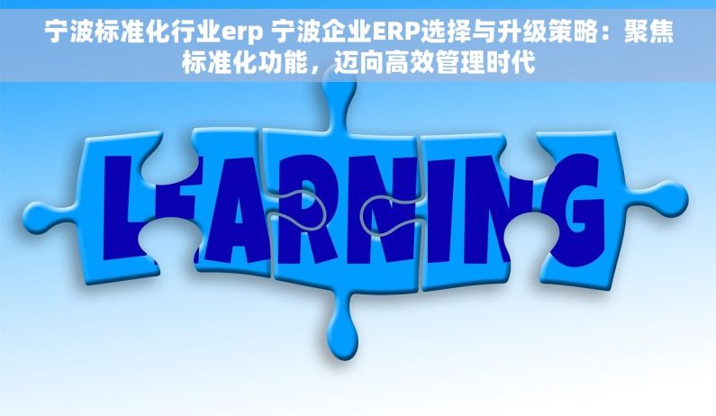 宁波标准化行业erp 宁波企业ERP选择与升级策略：聚焦标准化功能，迈向高效管理时代