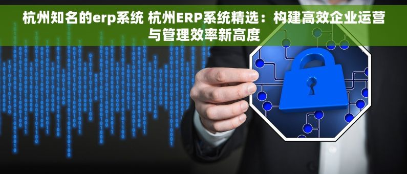 杭州知名的erp系统 杭州ERP系统精选：构建高效企业运营与管理效率新高度
