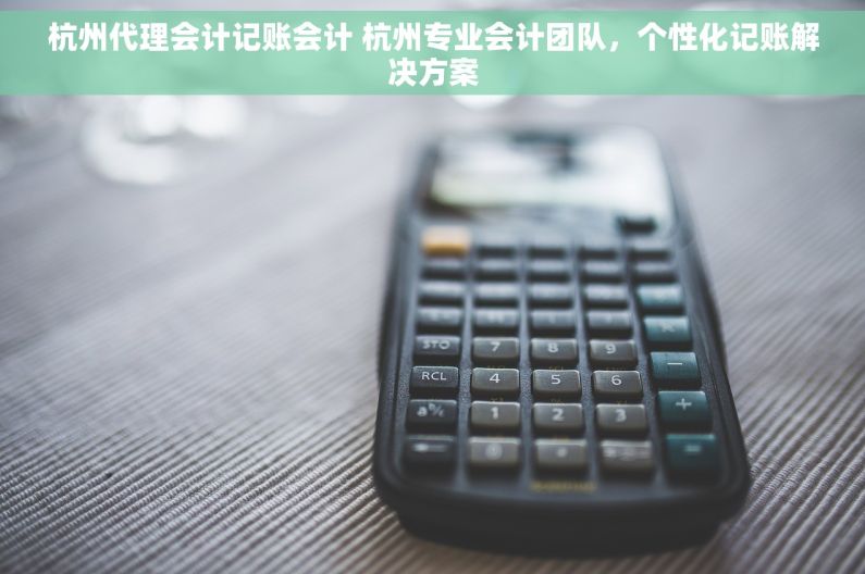杭州代理会计记账会计 杭州专业会计团队，个性化记账解决方案