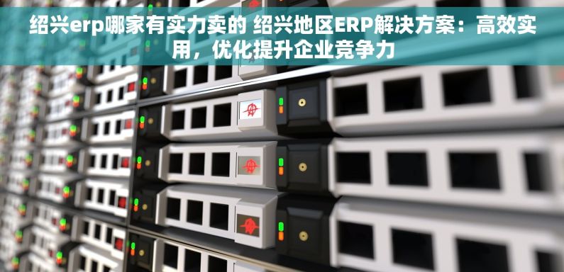 绍兴erp哪家有实力卖的 绍兴地区ERP解决方案：高效实用，优化提升企业竞争力
