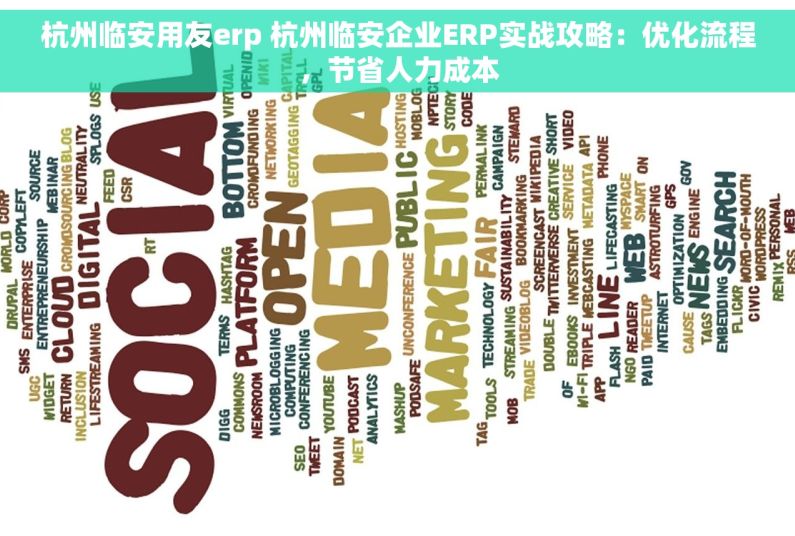 杭州临安用友erp 杭州临安企业ERP实战攻略：优化流程，节省人力成本