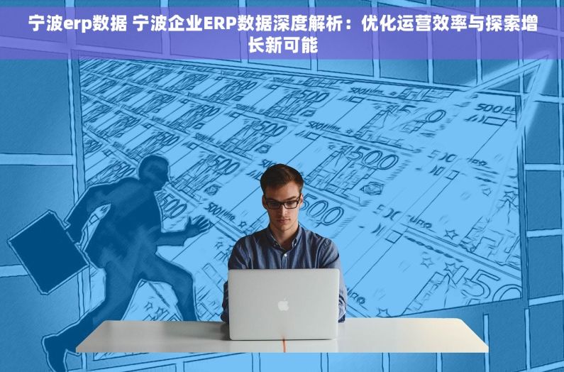 宁波erp数据 宁波企业ERP数据深度解析：优化运营效率与探索增长新可能