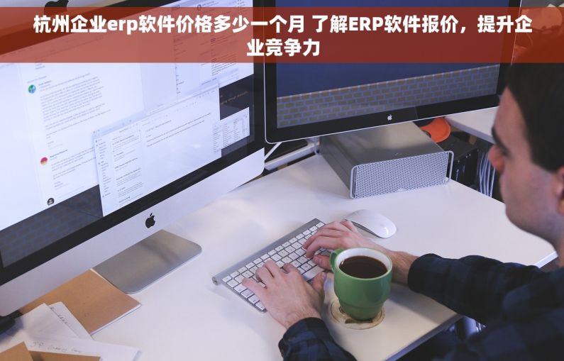 杭州企业erp软件价格多少一个月 了解ERP软件报价，提升企业竞争力