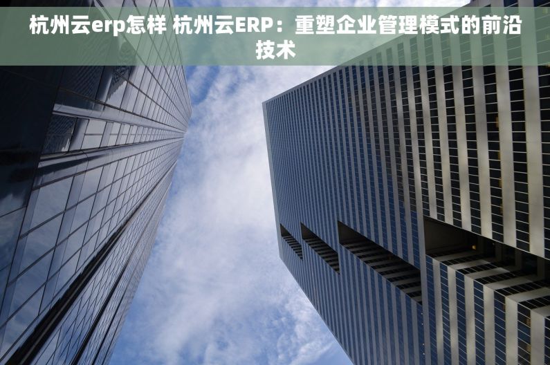 杭州云erp怎样 杭州云ERP：重塑企业管理模式的前沿技术