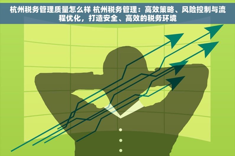 杭州税务管理质量怎么样 杭州税务管理：高效策略、风险控制与流程优化，打造安全、高效的税务环境