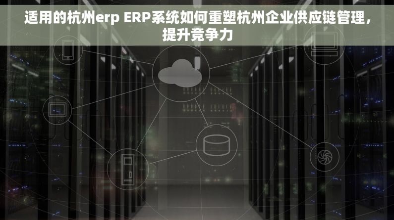 适用的杭州erp ERP系统如何重塑杭州企业供应链管理，提升竞争力