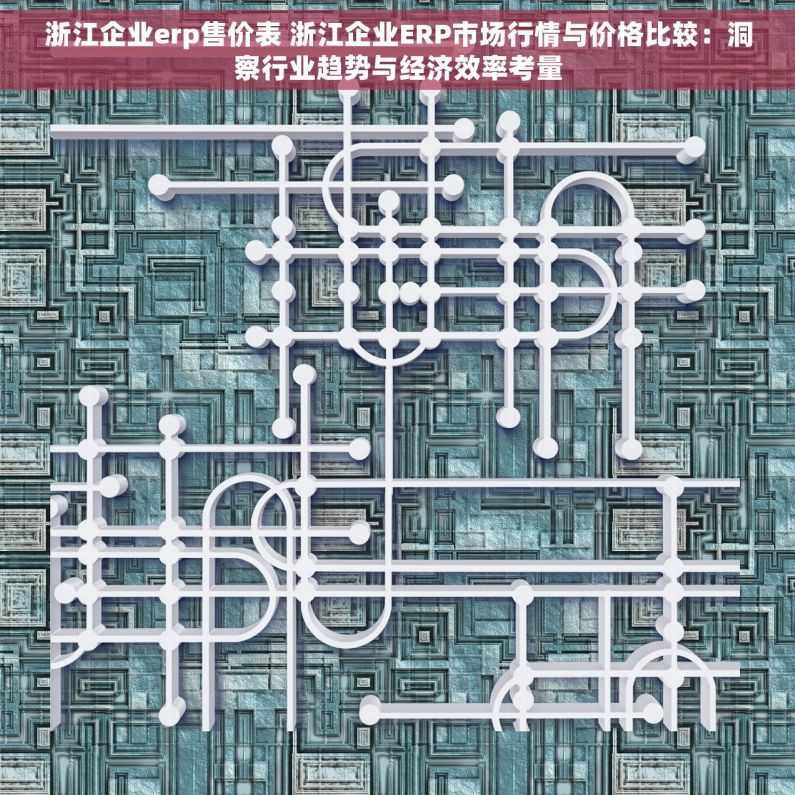 浙江企业erp售价表 浙江企业ERP市场行情与价格比较：洞察行业趋势与经济效率考量