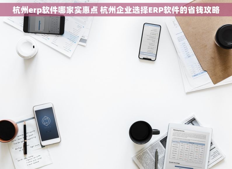 杭州erp软件哪家实惠点 杭州企业选择ERP软件的省钱攻略