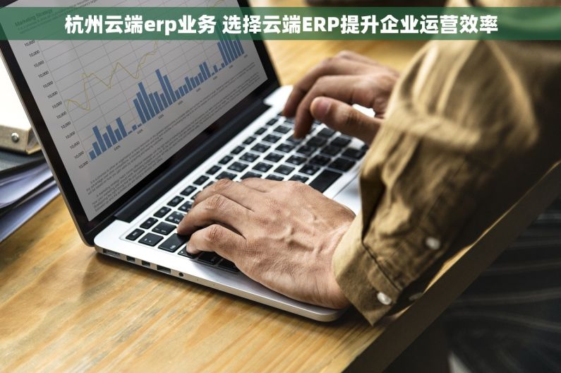 杭州云端erp业务 选择云端ERP提升企业运营效率