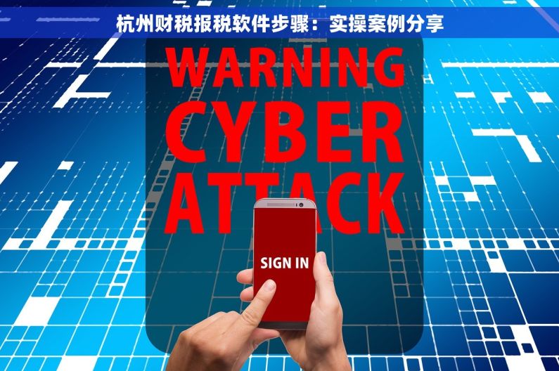 杭州财税报税软件步骤：实操案例分享