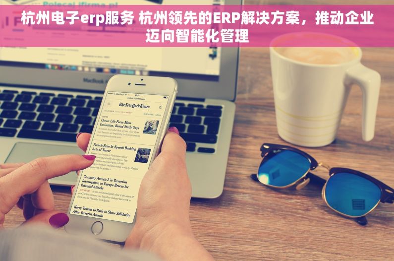 杭州电子erp服务 杭州领先的ERP解决方案，推动企业迈向智能化管理