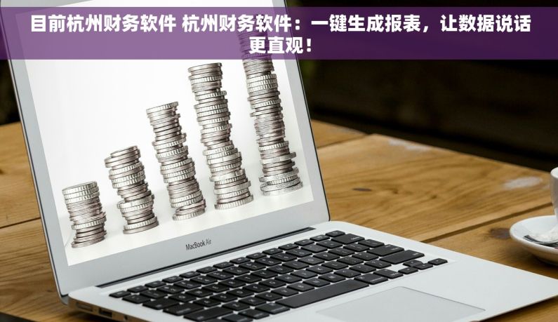 目前杭州财务软件 杭州财务软件：一键生成报表，让数据说话更直观！