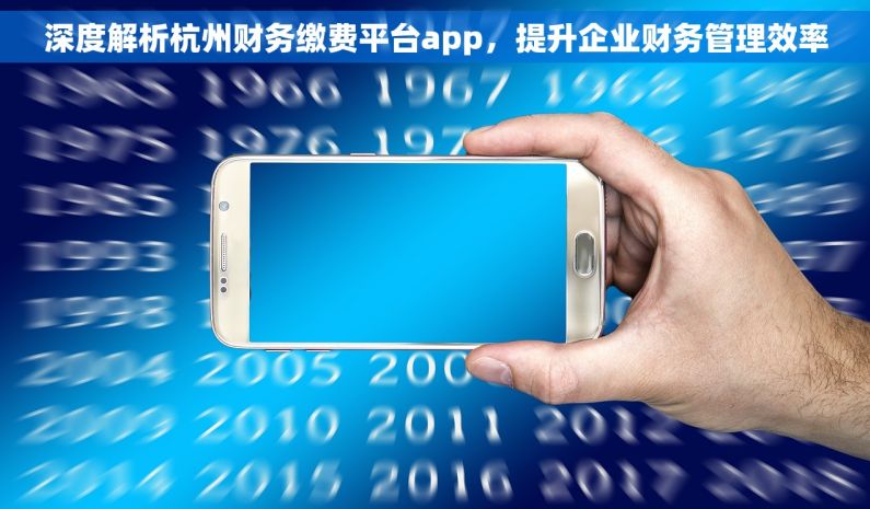 深度解析杭州财务缴费平台app，提升企业财务管理效率