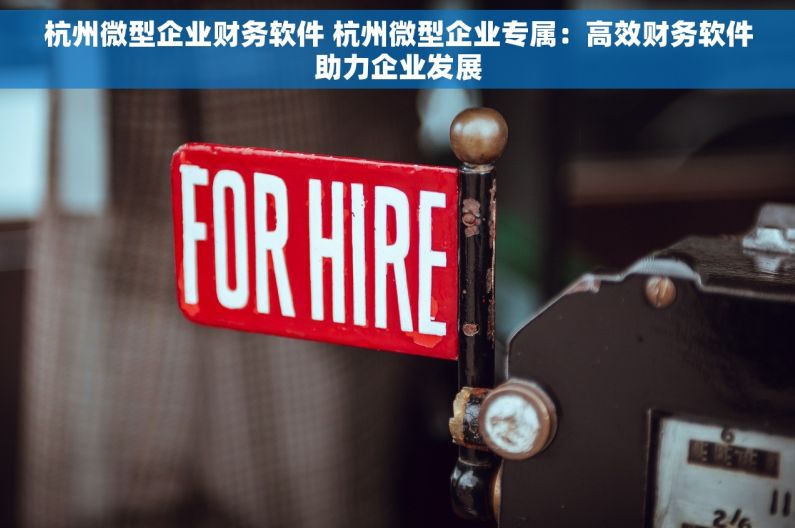 杭州微型企业财务软件 杭州微型企业专属：高效财务软件助力企业发展