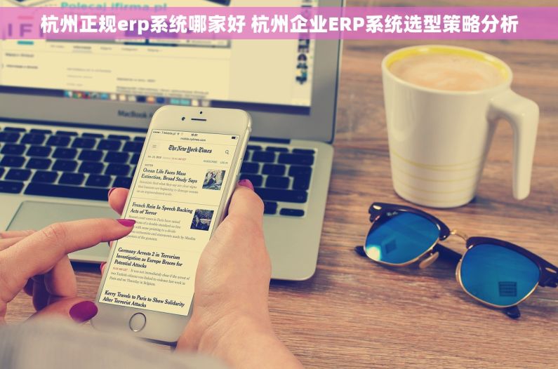 杭州正规erp系统哪家好 杭州企业ERP系统选型策略分析