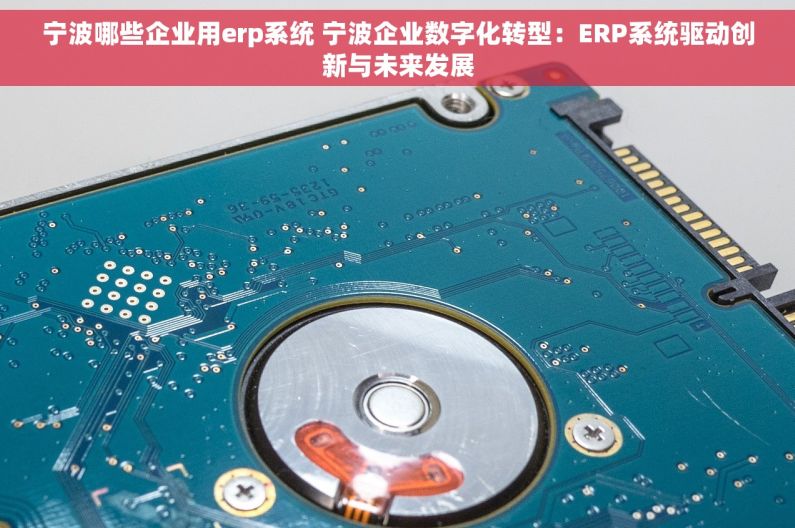 宁波哪些企业用erp系统 宁波企业数字化转型：ERP系统驱动创新与未来发展