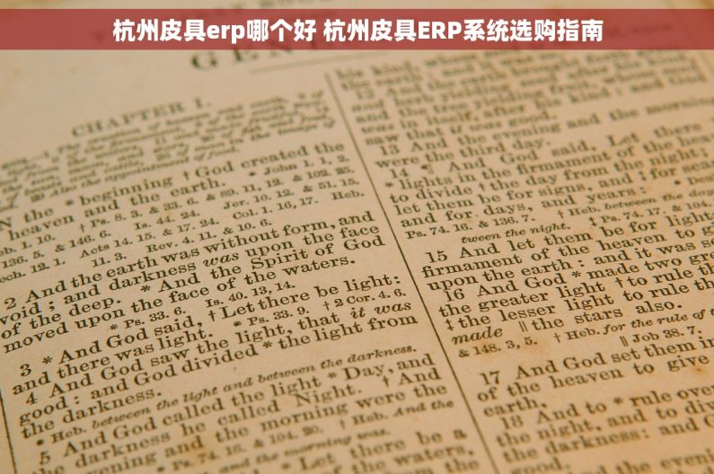杭州皮具erp哪个好 杭州皮具ERP系统选购指南