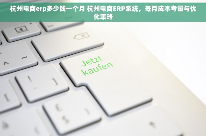 杭州电商erp多少钱一个月 杭州电商ERP系统，每月成本考量与优化策略