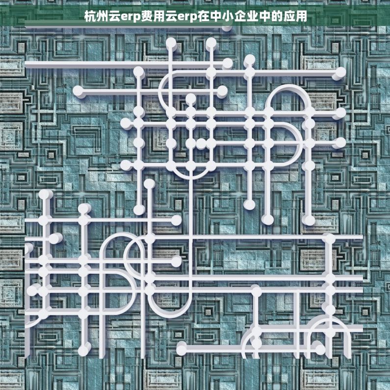杭州云erp费用云erp在中小企业中的应用