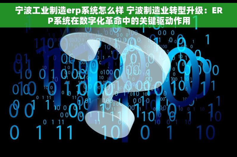 宁波工业制造erp系统怎么样 宁波制造业转型升级：ERP系统在数字化革命中的关键驱动作用