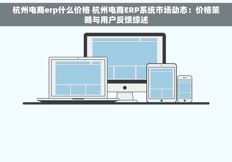 杭州电商erp什么价格 杭州电商ERP系统市场动态：价格策略与用户反馈综述