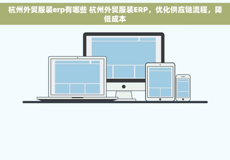 杭州外贸服装erp有哪些 杭州外贸服装ERP，优化供应链流程，降低成本