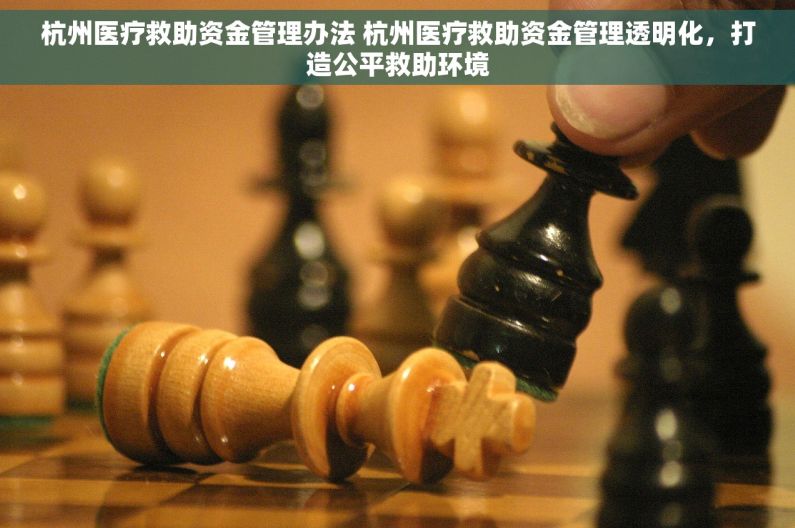 杭州医疗救助资金管理办法 杭州医疗救助资金管理透明化，打造公平救助环境