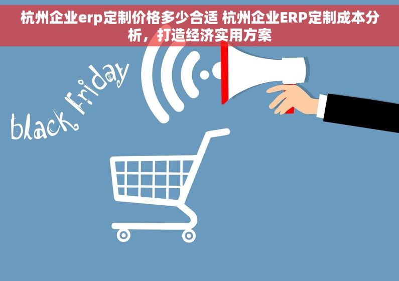 杭州企业erp定制价格多少合适 杭州企业ERP定制成本分析，打造经济实用方案