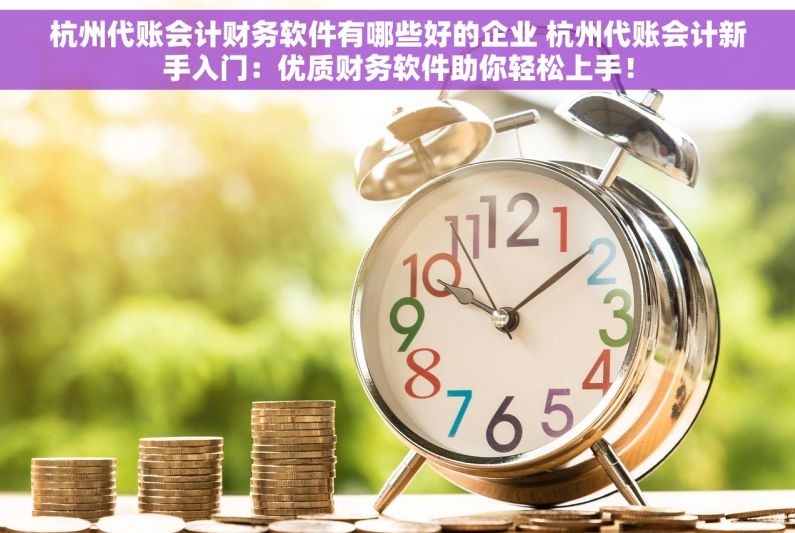 杭州代账会计财务软件有哪些好的企业 杭州代账会计新手入门：优质财务软件助你轻松上手！