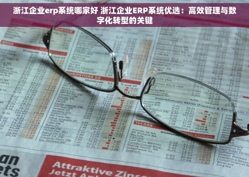 浙江企业erp系统哪家好 浙江企业ERP系统优选：高效管理与数字化转型的关键