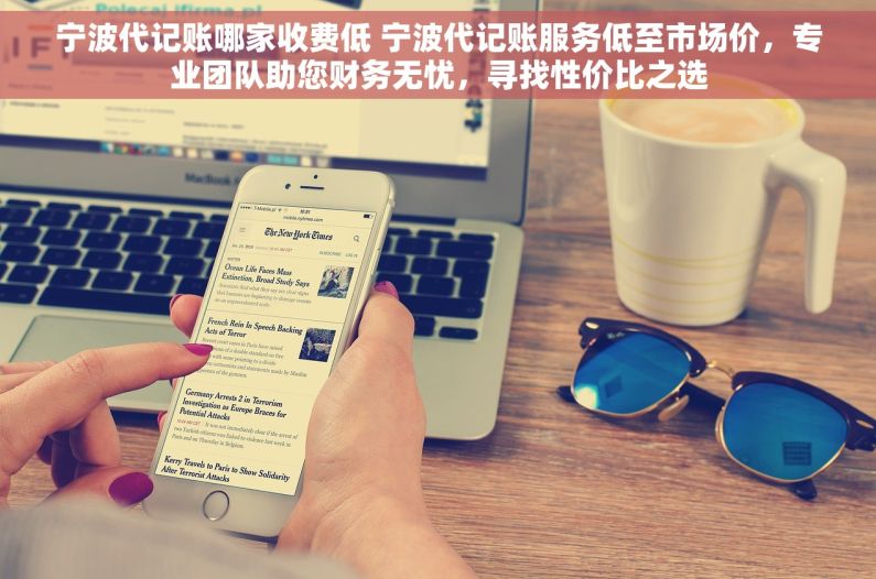 宁波代记账哪家收费低 宁波代记账服务低至市场价，专业团队助您财务无忧，寻找性价比之选