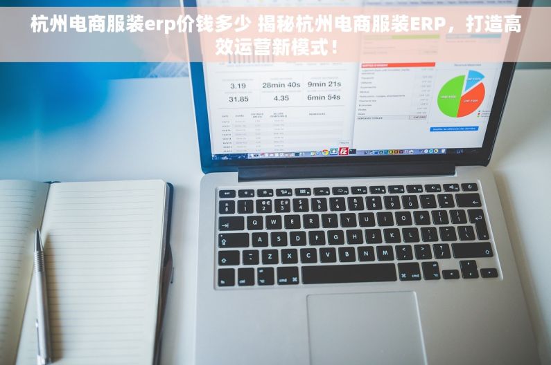 杭州电商服装erp价钱多少 揭秘杭州电商服装ERP，打造高效运营新模式！