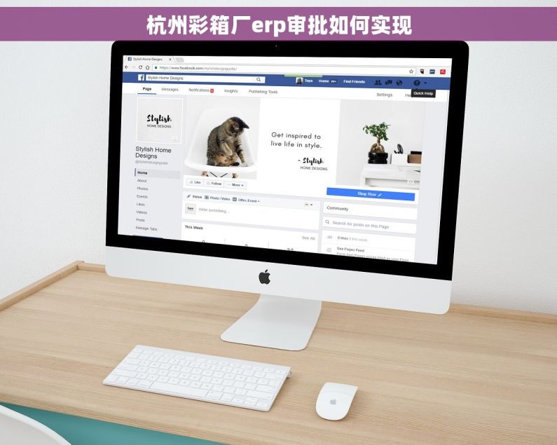 杭州彩箱厂erp审批如何实现