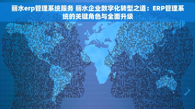 丽水erp管理系统服务 丽水企业数字化转型之道：ERP管理系统的关键角色与全面升级