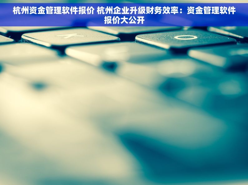 杭州资金管理软件报价 杭州企业升级财务效率：资金管理软件报价大公开