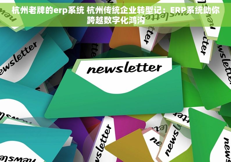 杭州老牌的erp系统 杭州传统企业转型记：ERP系统助你跨越数字化鸿沟