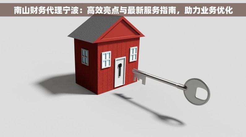 南山财务代理宁波：高效亮点与最新服务指南，助力业务优化